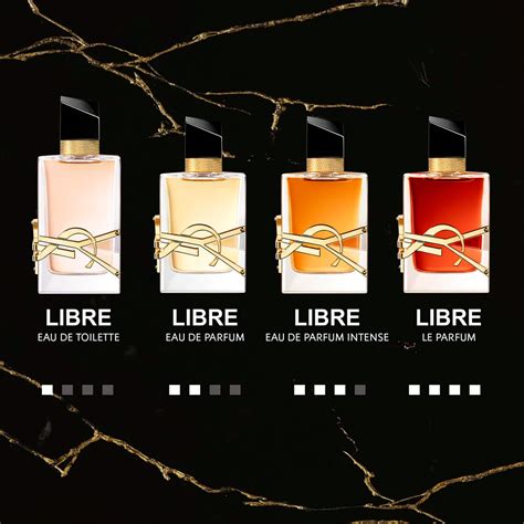 ysl libre dark